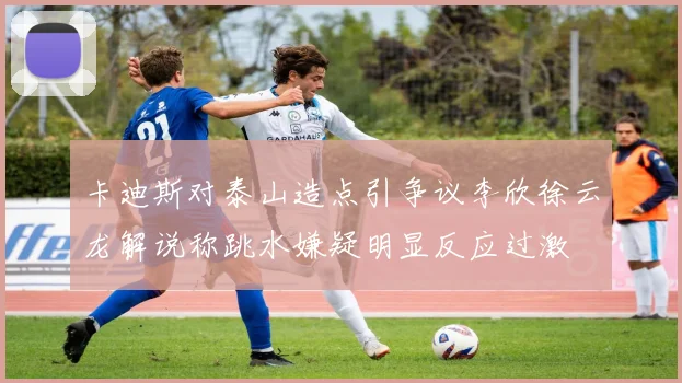 卡迪斯对泰山造点引争议李欣徐云龙解说称跳水嫌疑明显反应过激