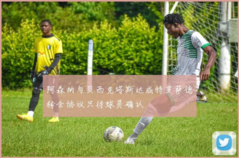阿森纳与贝西克塔斯达成特罗萨德转会协议只待球员确认